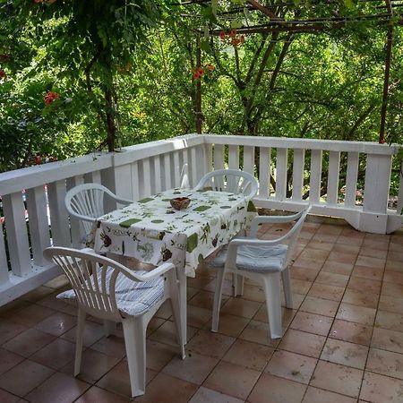 Apartment Nada Medveja ลอฟราน ภายนอก รูปภาพ